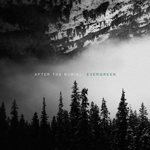 Evergreen (Vinyl)